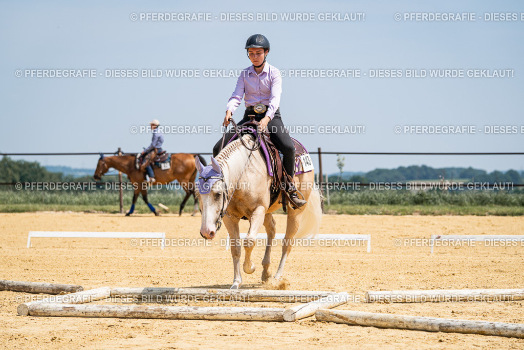 DSC01078 | Pferdegrafie