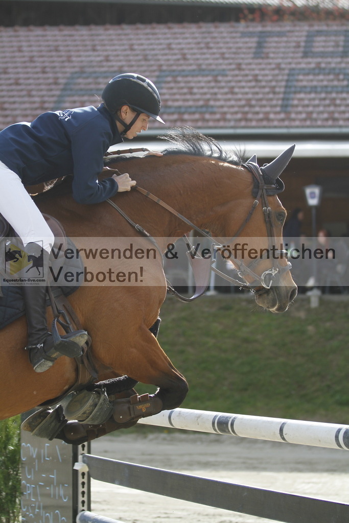 _MG_7847 | equestrian-live-com
