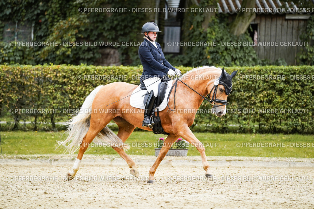 DSC00697 | Pferdegrafie