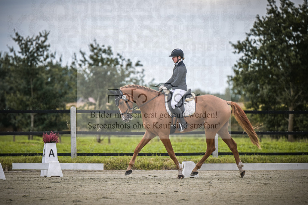 DOS_0120 | Entdecke hochwertige Reitturnierfotos von Foto Oger. Professionell, emotional und authentisch – jetzt Lieblingsmomente im Shop bestellen.Deutschlandweite Turnierfotografie. - Realisiert mit Pictrs.com