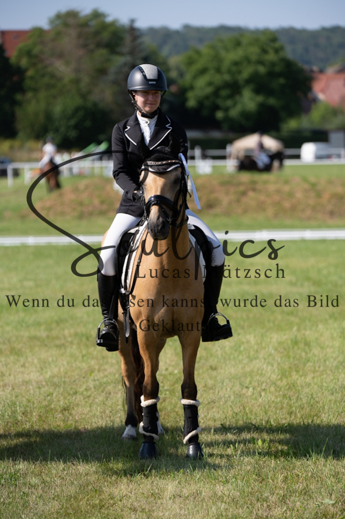 A7V09527 | Pferdefotograf