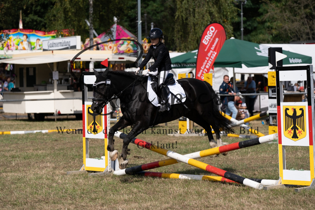 A7V08647 | Pferdefotograf