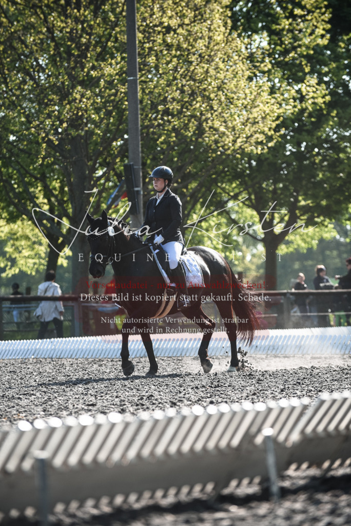 DSC_8598 | Pferde- und Turnierfotografie in Westsachsen. Pferdeportraits, Auftragszeichnungen und intuitive Kunst.