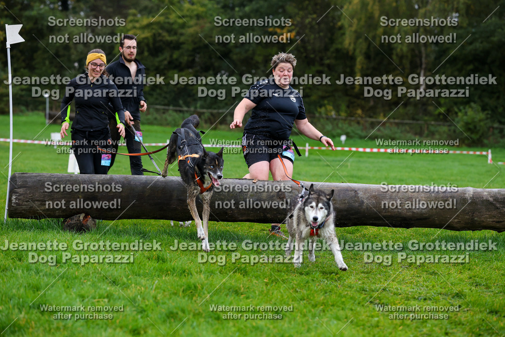 Dog Paparazzi -  SD1026-1388 | Dog Paparazzi Jeanette Grottendiek Fotografie & Videografie - Realisiert mit Pictrs.com