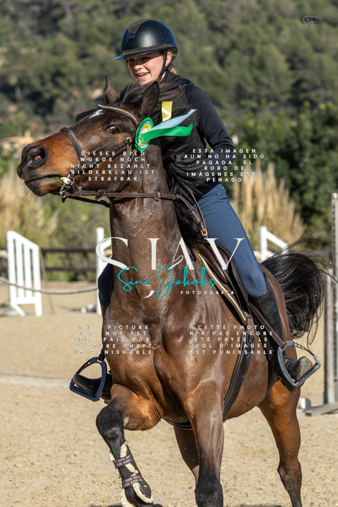 IMG_6984 | s-jay-photography - Realisiert mit Pictrs.com