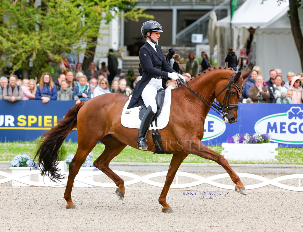1B3A7444 | Reitsport Reiten