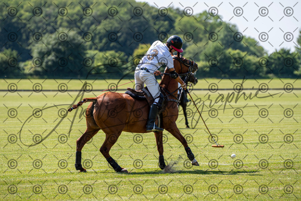 POL_3315 | andre_photographic