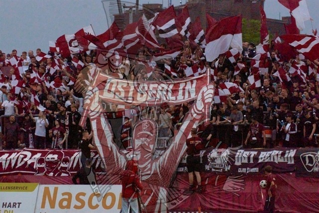 BFC Dynamo vs. Hallescher FC 013 | mythos-online-redaktion