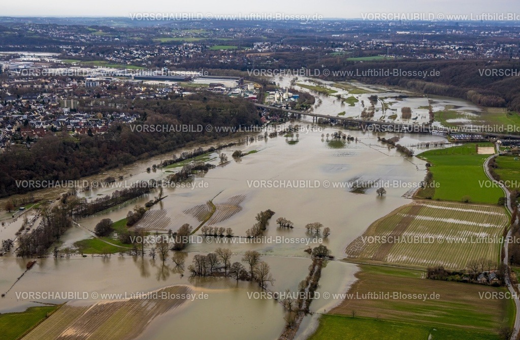Hattingen231202168Ruhr-topaz | Luftbild, Ruhrhochwasser, Weihnachtshochwasser 2023, Fluss Ruhr tritt nach starken Regenfällen über die Ufer, Überschwemmungsgebiet am Leinpfad bis Kosterbrücke, Bäume im Wasser, Stiepel, Bochum, Ruhrgebiet, Nordrhein-Westfalen, Deutschland