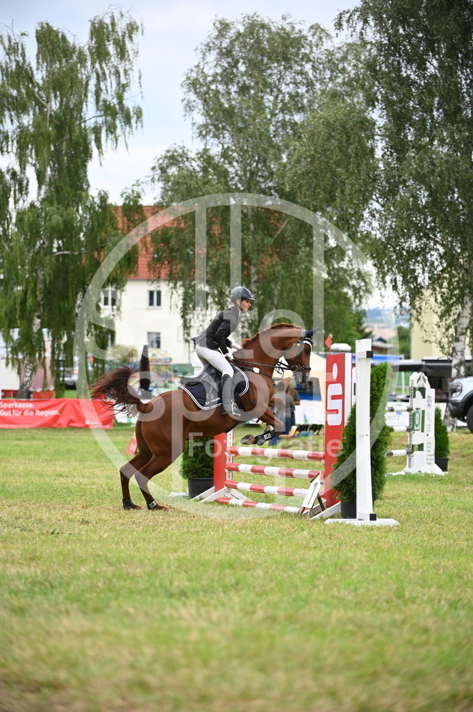 DSC_4382 | sattelsport - Realisiert mit Pictrs.com