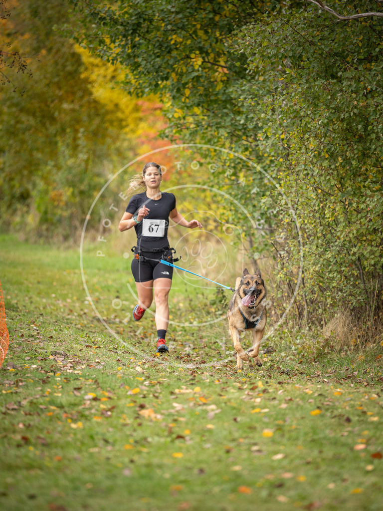 Pfotenfotografie_DV3A2757 | Hundefotografie, Tierfotograf, Pfotenfotografie, Fotoshooting Hund, Hunde Portrait, Hundesport, Hundeportraits, Heideshooting, Hunde, Sportfotograf, Hundefotograf, Turnierhundsport, THS,  - Realisiert mit Pictrs.com