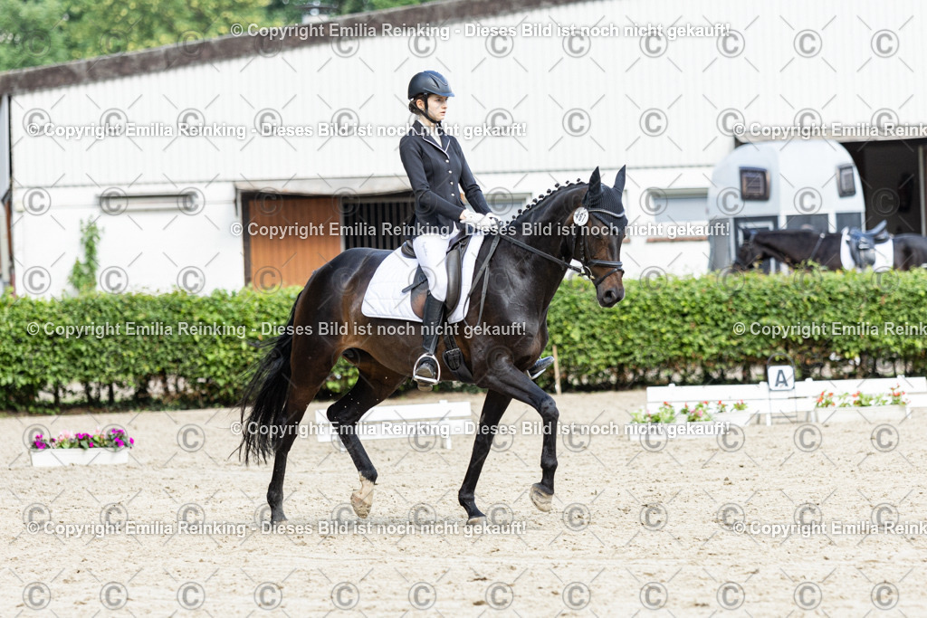 CL5A6047-2 | Emilia Reinking Fotografie - Realisiert mit Pictrs.com