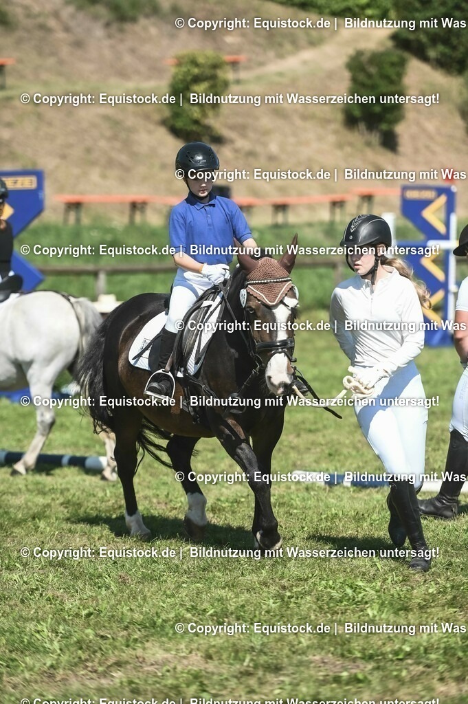 20230910_11-2_Führzügel-WB_0067 | Foto: Thomas Hartig