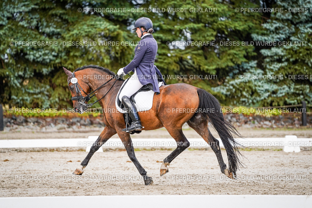 DSC00271 | Pferdegrafie