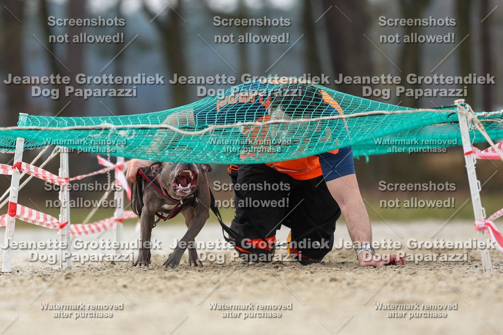 Dog Paparazzi - Strongdog North Mrz26-4446 | Dog Paparazzi Jeanette Grottendiek Fotografie & Videografie - Realisiert mit Pictrs.com