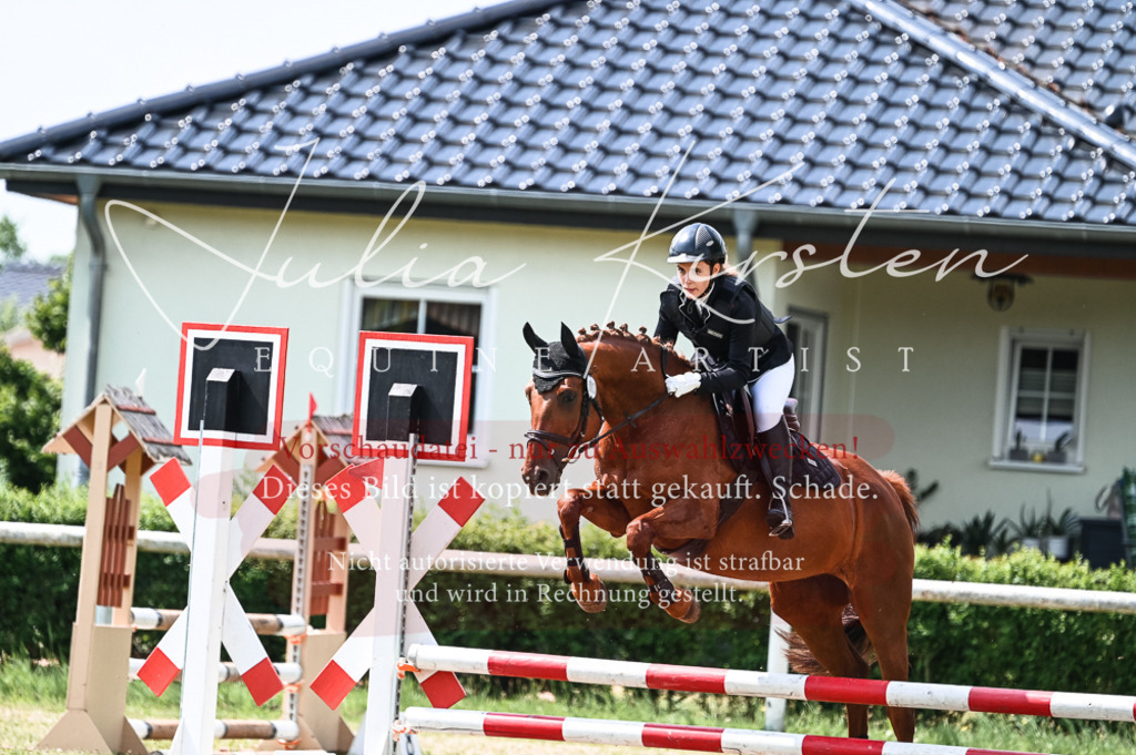 DSC_8829 | Pferde- und Turnierfotografie in Westsachsen. Pferdeportraits, Auftragszeichnungen und intuitive Kunst.