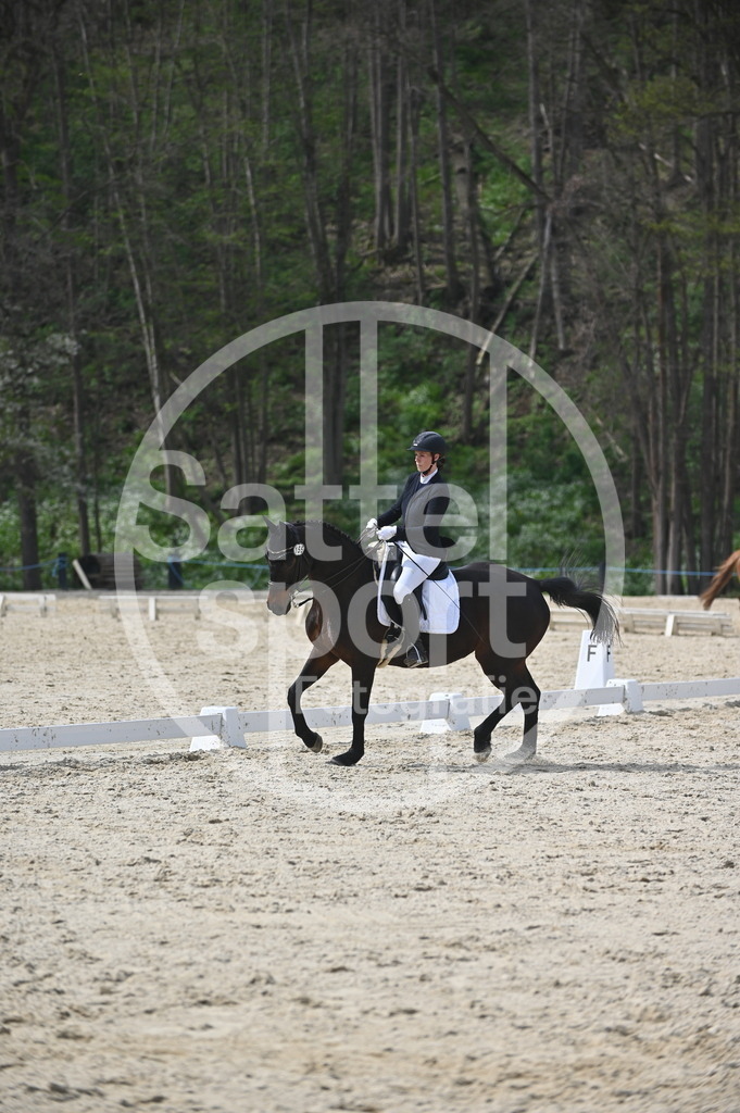 DSC_4287 | sattelsport - Realisiert mit Pictrs.com