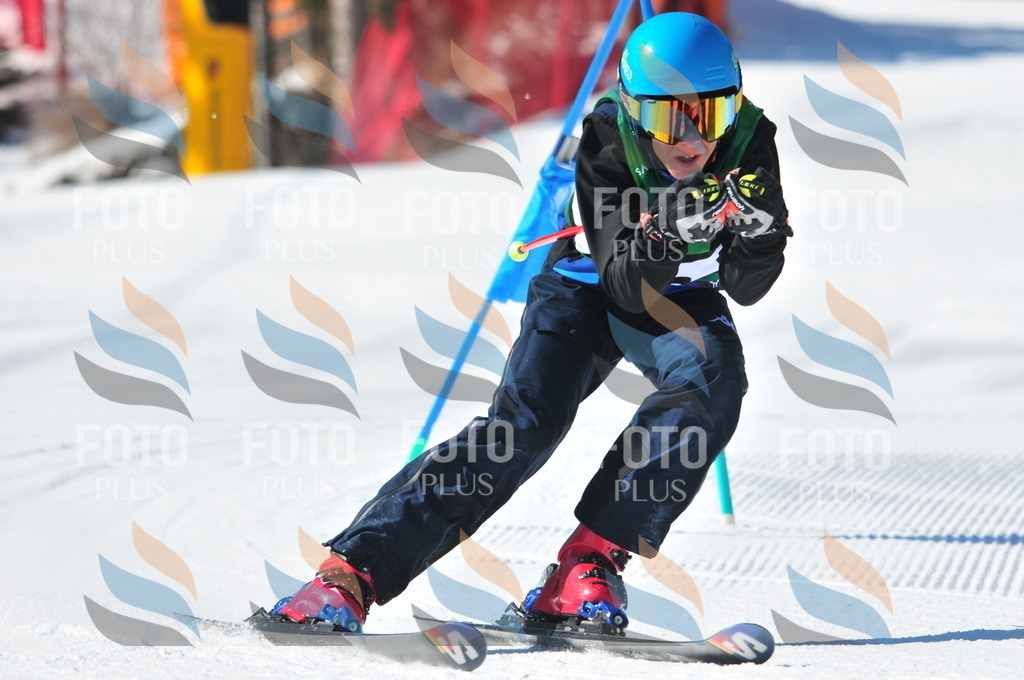 C3855 | holidayphoto