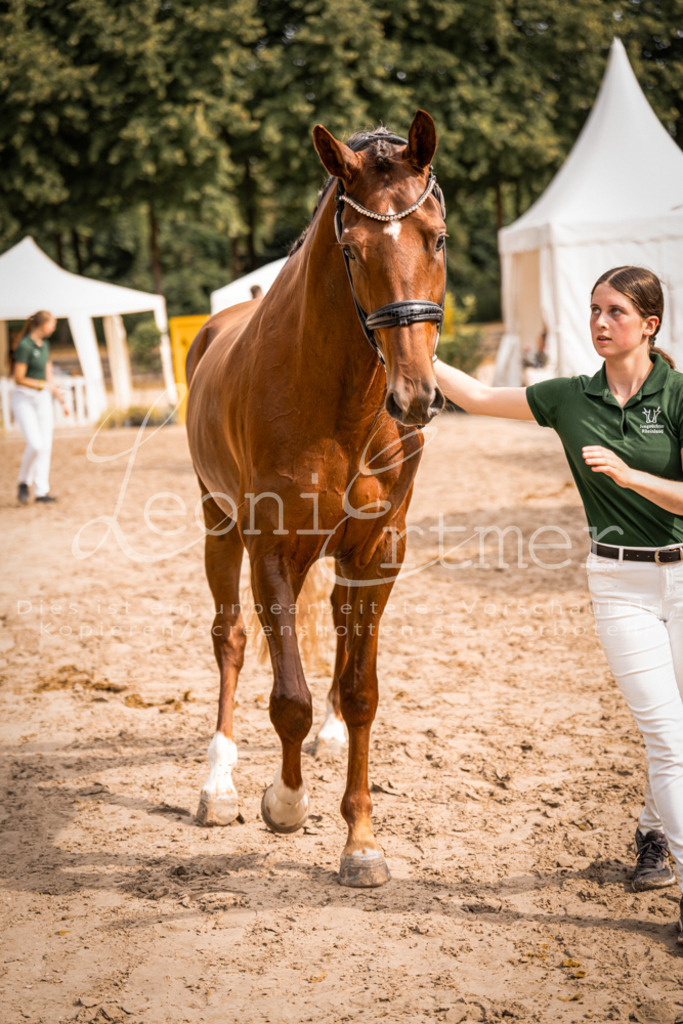 7.Fr00116 | Leoni Ertmer Photography - Realisiert mit Pictrs.com