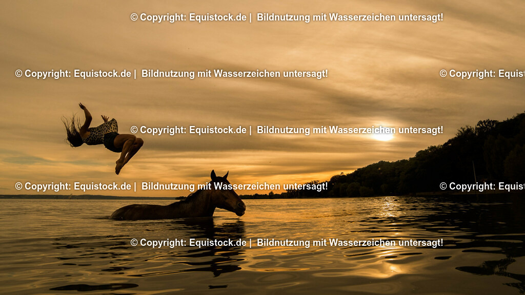 TS_20170616_Pferd_im_Wasser_0011 | Foto: Thomas Hartig