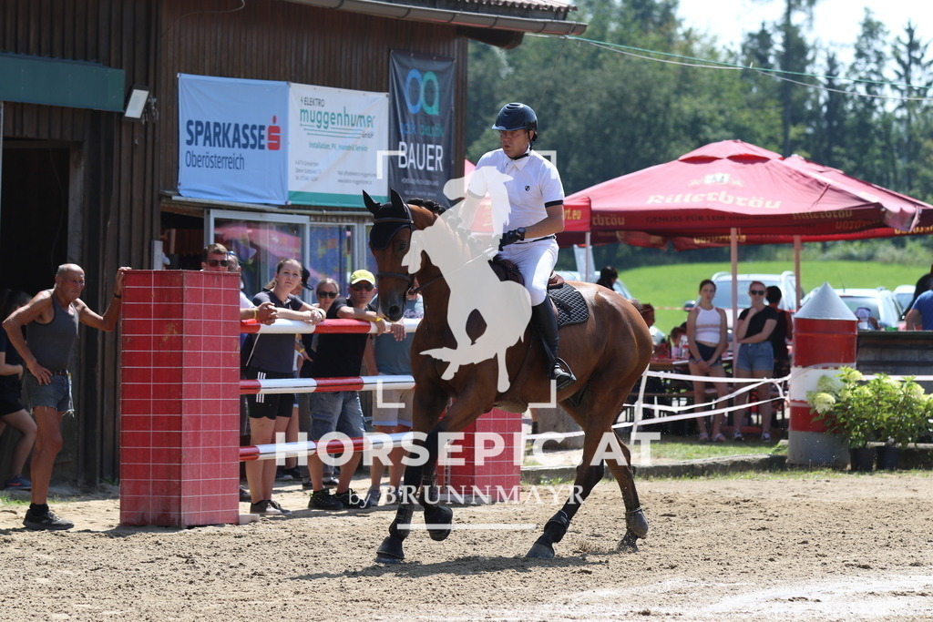 7V2A3264 | Willkommen bei Brunnmayr - Design & Fotografie – Ihrem Spezialisten für Reitturniere und Pferdeveranstaltungen in Oberösterreich, Salzburg und Bayern! Seit über 17 Jahren sind wir leidenschaftlich dabei.
