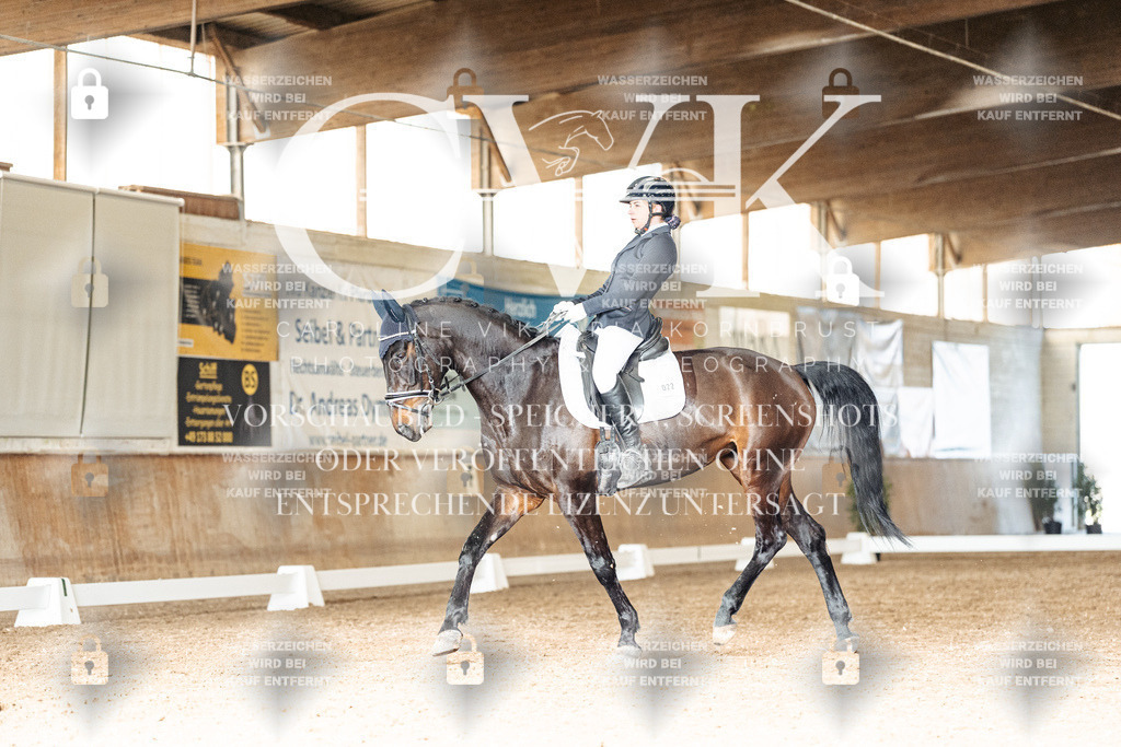 CK902345 | Turnierfotografie Pferdefotografie Trier Rheinland-Pfalz Pferdesport Reitsport Tierfotografie Sportfotografie Pferdevideo Pferdevideografie Equestrianvideography equestrianphotography  - Realisiert mit Pictrs.com