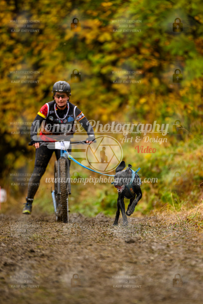 MompixPhotography_ICF_WC_2024_SA_DS_-29 | PayLife