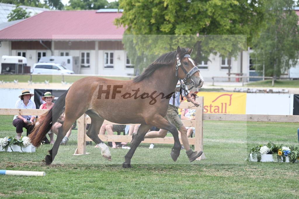 Kat-Nr. 41 Halla_Fritzmeier_20230628 | hf-fotografie - Realisiert mit Pictrs.com