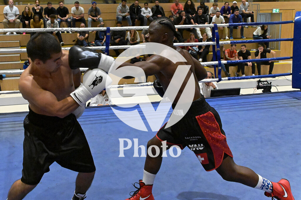 DSC_3690 | Velletri Photo