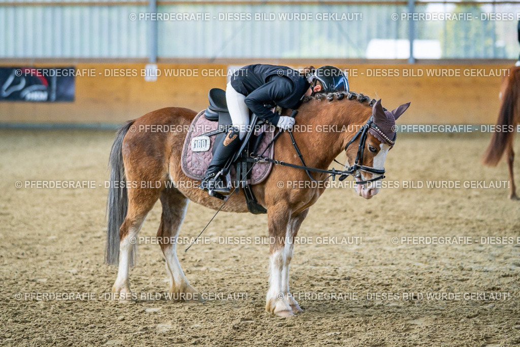 DSC03131 | Pferdegrafie