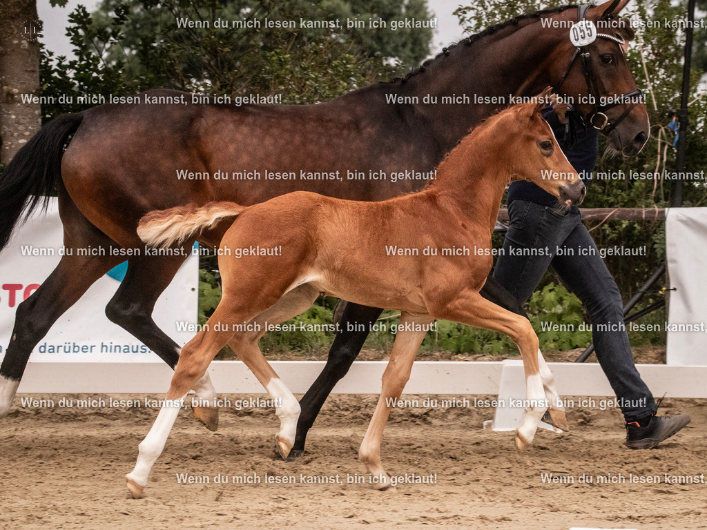 A10I5479 | photographylinaismer - Realisiert mit Pictrs.com