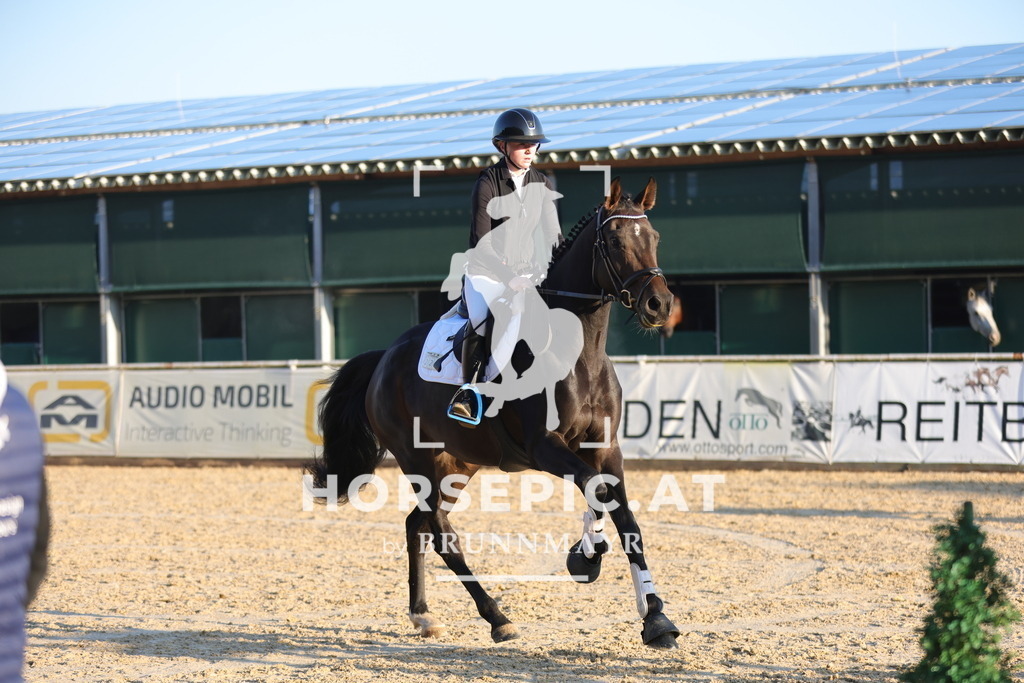 0P6A8547 | Willkommen bei Brunnmayr - Design & Fotografie – Ihrem Spezialisten für Reitturniere und Pferdeveranstaltungen in Oberösterreich, Salzburg und Bayern! Seit über 17 Jahren sind wir leidenschaftlich dabei.