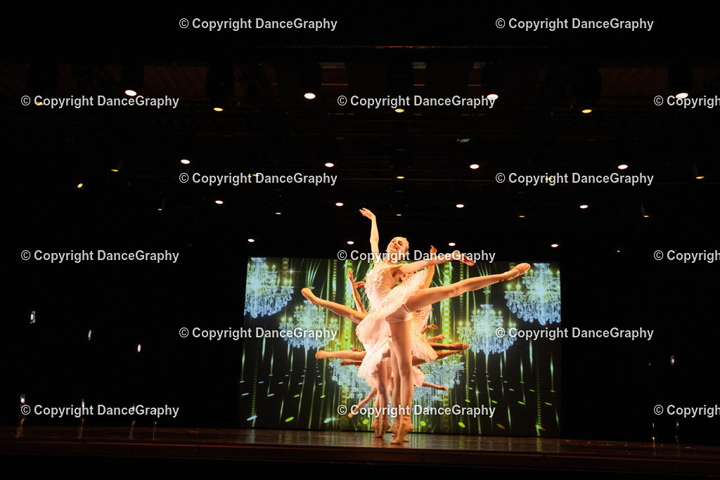 GPHY6527 | DanceGraphy - Realisiert mit Pictrs.com