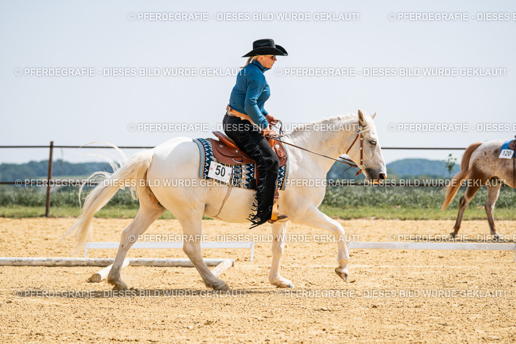 DSC00117 | Pferdegrafie