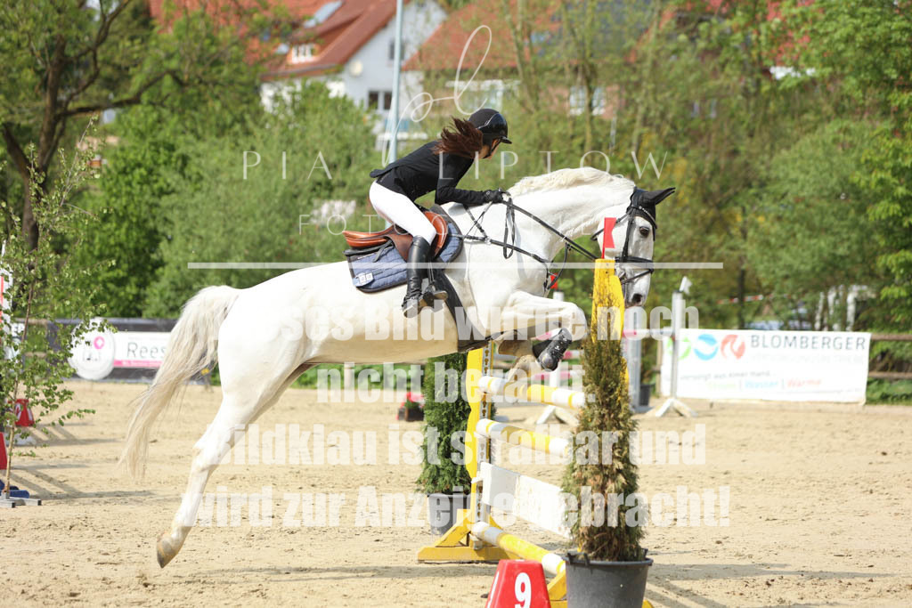 IMGM5891 | pl-fotografie