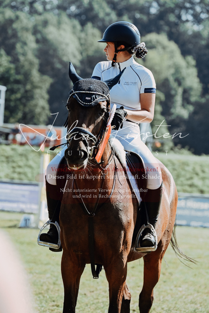 DSC_6214 | Pferde- und Turnierfotografie in Westsachsen. Pferdeportraits, Auftragszeichnungen und intuitive Kunst.