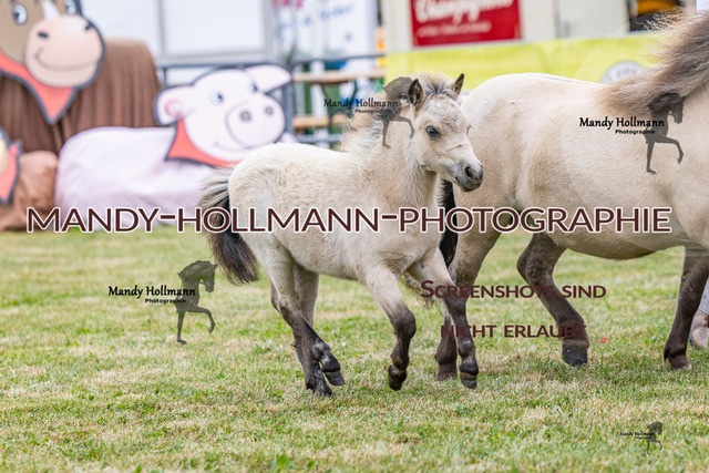 LTN 1 (59 von 918) | mandyhollmannphotographie