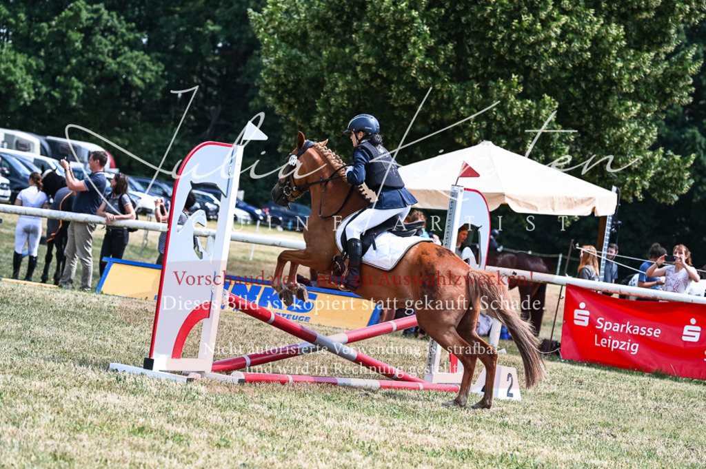DSC_9669 | Pferde- und Turnierfotografie in Westsachsen. Pferdeportraits, Auftragszeichnungen und intuitive Kunst.