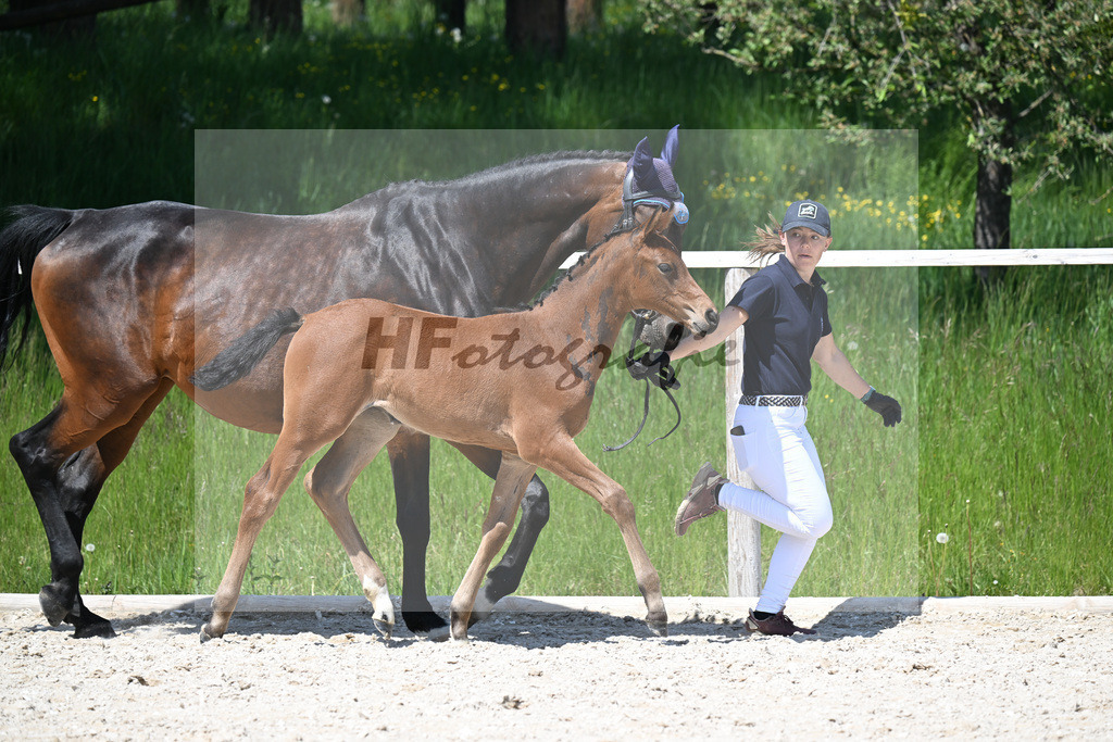 Vingino x Catoo_SF_Haller_10250776 | hf-fotografie - Realisiert mit Pictrs.com