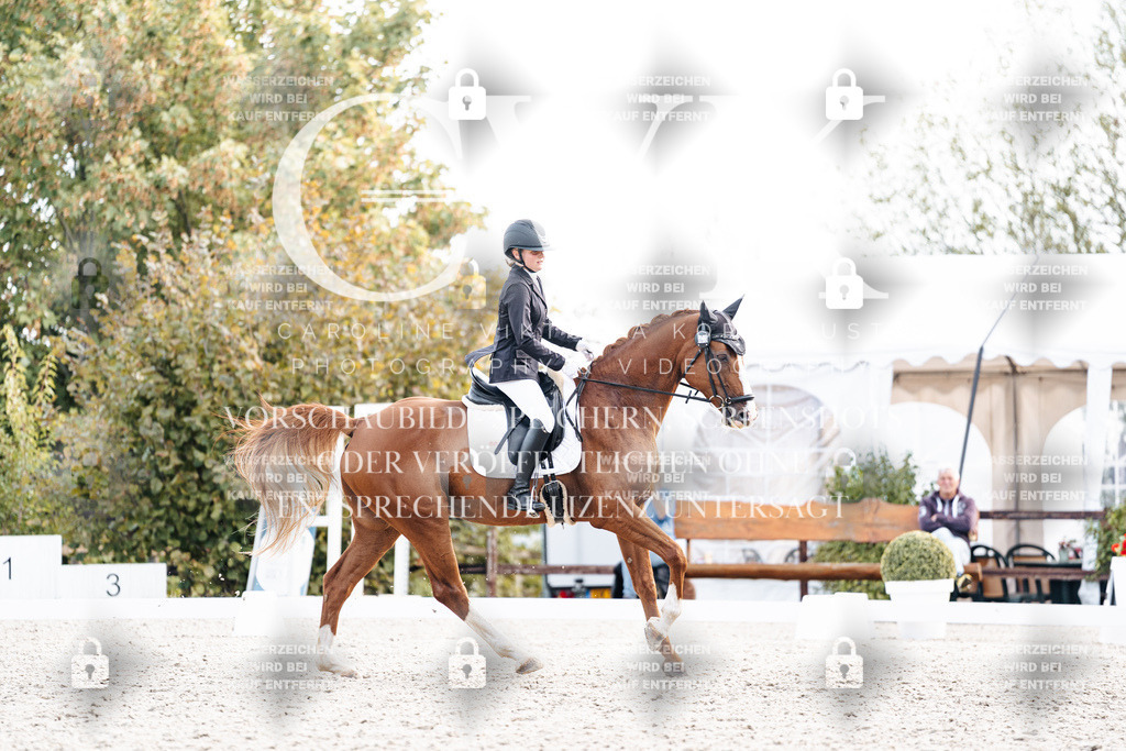 CK901335 | Turnierfotografie Pferdefotografie Trier Rheinland-Pfalz Pferdesport Reitsport Tierfotografie Sportfotografie Pferdevideo Pferdevideografie Equestrianvideography equestrianphotography  - Realisiert mit Pictrs.com