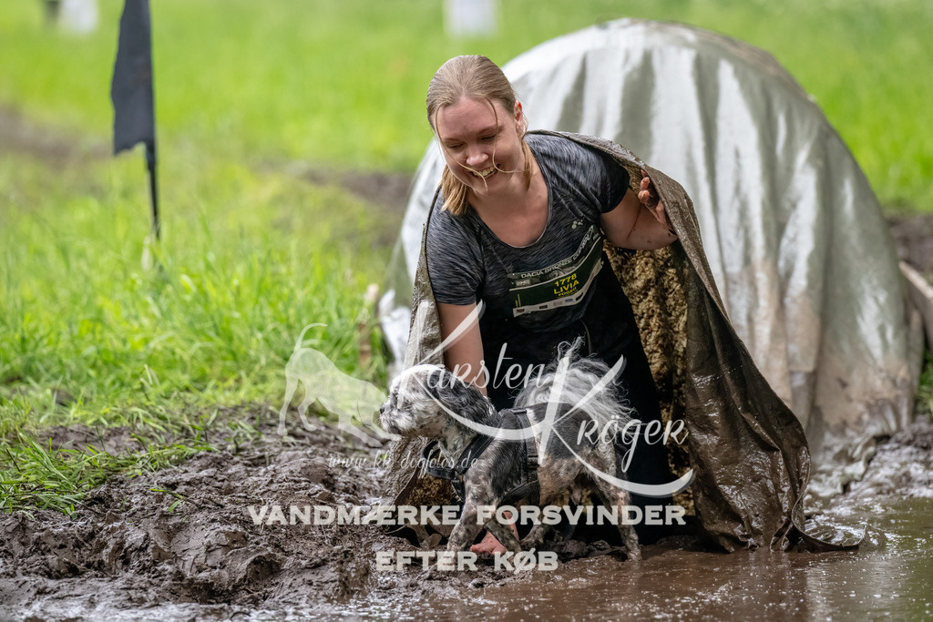 1554_ZZ90983-Bearbeitet | kk-dogfotos