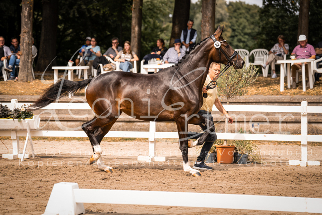 6.Fr00024 | Leoni Ertmer Photography - Realisiert mit Pictrs.com