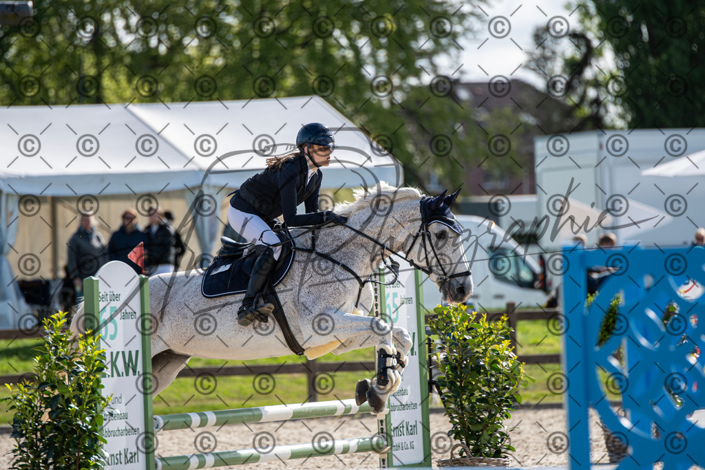 KPT_4548 | andre_photographic