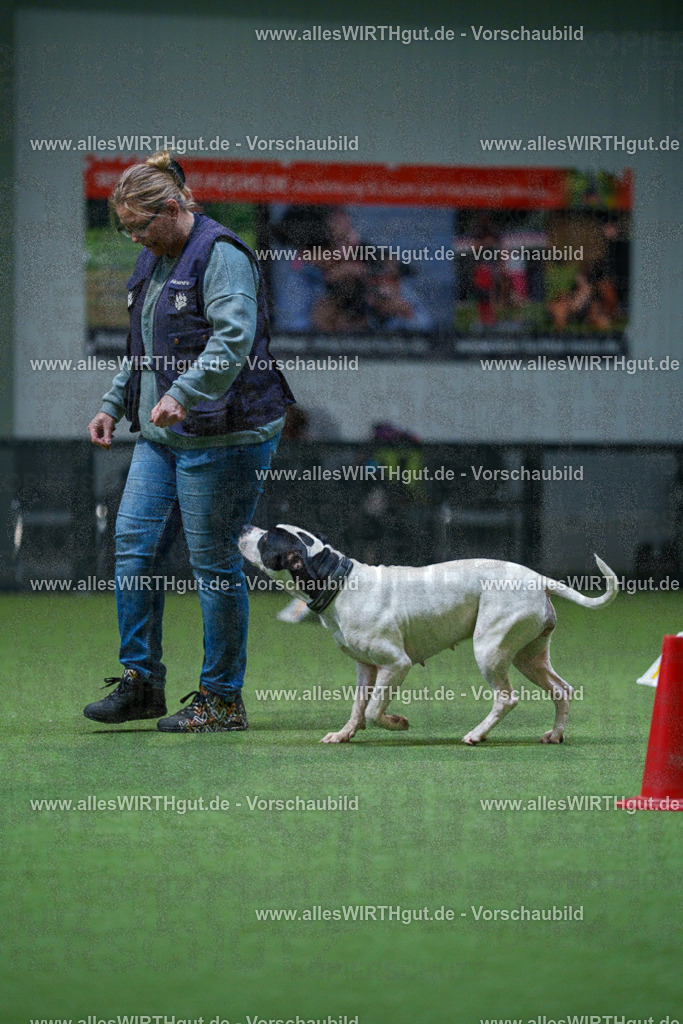 7R502996 | Professionelle Tierfotografie in Mönchengladbach von Daniel Wirth (allesWIRTHgut). Liebevolle & natürliche Bilder von Hunden & Katzen für unvergessliche Erinnerungen.
