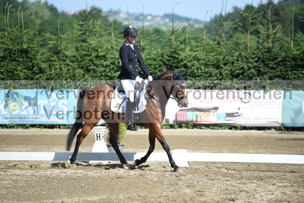 DSC_7661 | equestrian-live-com