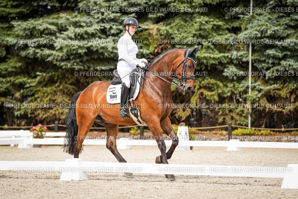 DSC06749 | Pferdegrafie