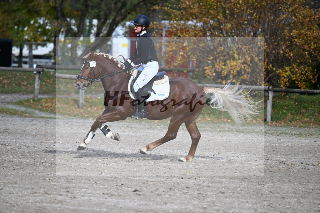 Kat-Nr. 6 Wan D or-E v. Wolf HU-A_Gruber_43250608 | hf-fotografie - Realizzato con Pictrs.com