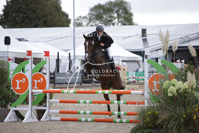 1J2A0273Melvin Henze_ Miss Colman 2_ Kn739_ Havekost | Foto- und Videografie für alles rund ums Pferd. Hochwertige Bilder und Videos vom Spring- und Dressurreiten, Voltigieren & mehr. Jetzt aktuelle Veranstaltungen und Preise im Shop ansehen. - Realisiert mit Pictrs.com