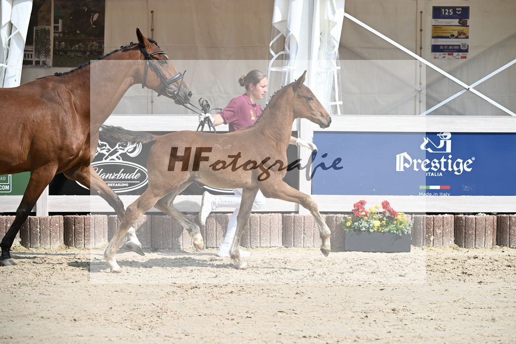 Emerald v h Ruytershof x Zirocco Blue_HF_PBM Pfefferle GmbH_12250227 | hf-fotografie - Realisiert mit Pictrs.com