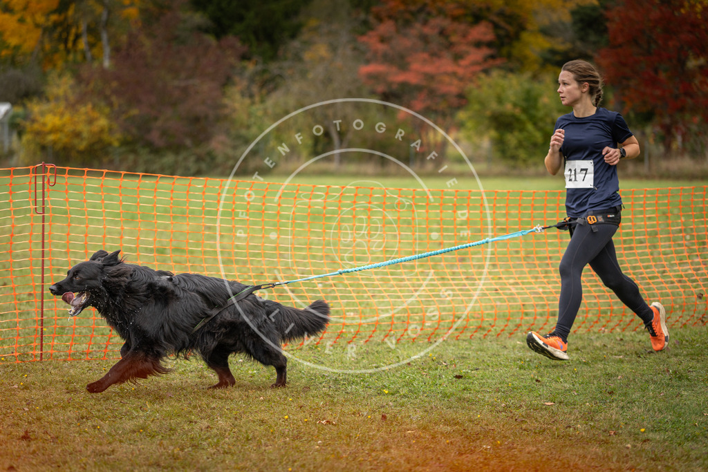 Pfotenfotografie_DV3A4787 | Hundefotografie, Tierfotograf, Pfotenfotografie, Fotoshooting Hund, Hunde Portrait, Hundesport, Hundeportraits, Heideshooting, Hunde, Sportfotograf, Hundefotograf, Turnierhundsport, THS,  - Realisiert mit Pictrs.com